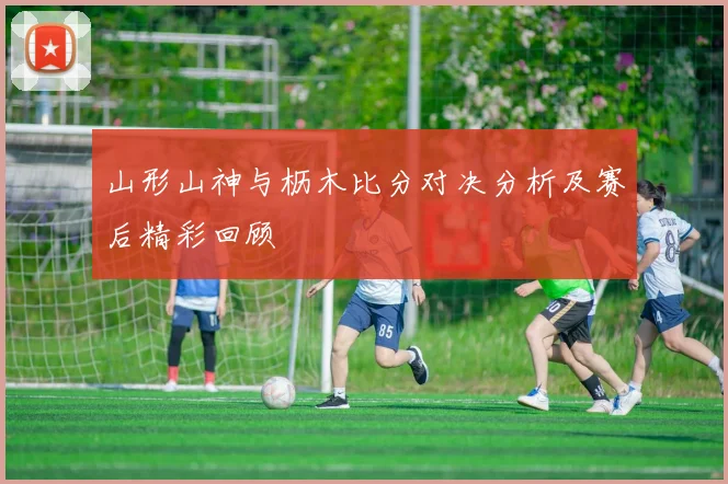 山形山神与枥木比分对决分析及赛后精彩回顾