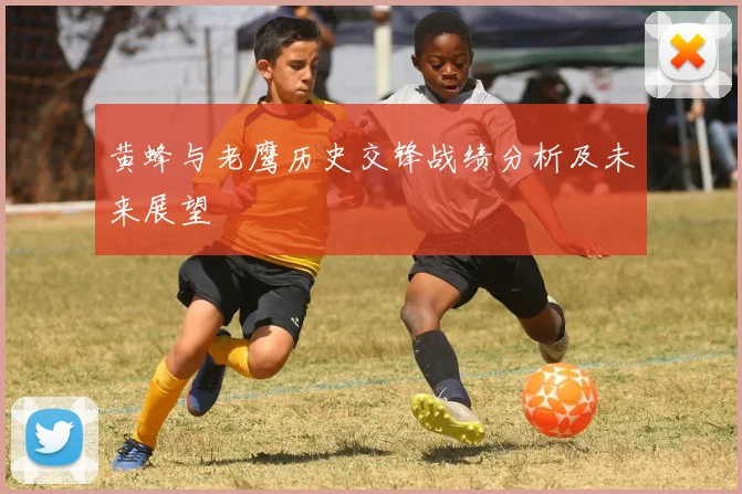 黄蜂与老鹰历史交锋战绩分析及未来展望