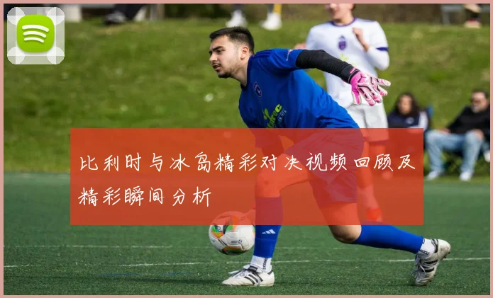 比利时与冰岛精彩对决视频回顾及精彩瞬间分析