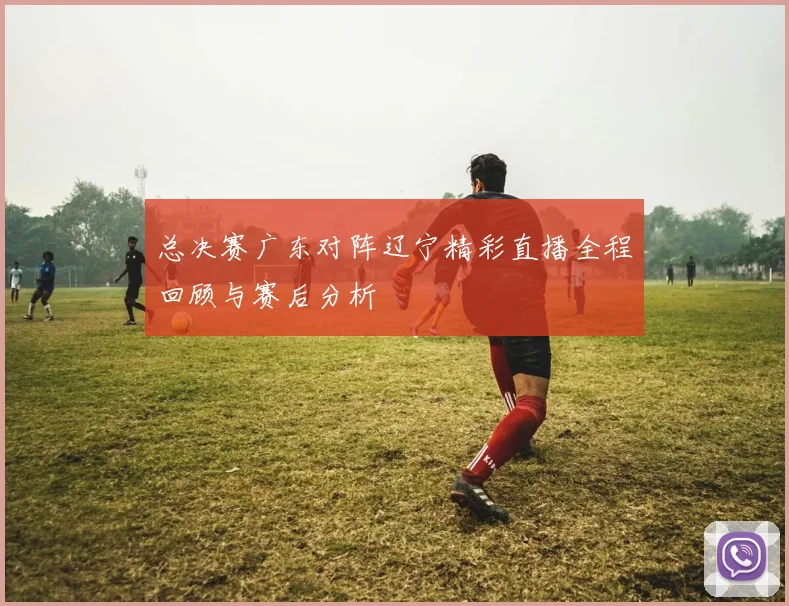 总决赛广东对阵辽宁精彩直播全程回顾与赛后分析