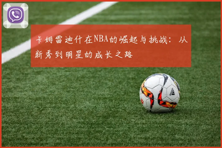 卡姆雷迪什在NBA的崛起与挑战：从新秀到明星的成长之路
