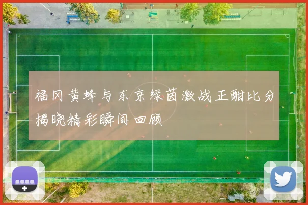 福冈黄蜂与东京绿茵激战正酣比分揭晓精彩瞬间回顾