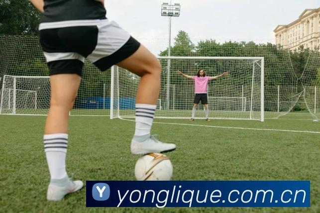 永利娱乐平台生态图